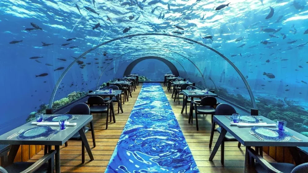 Hurawalhi 芙拉瓦麗度假村