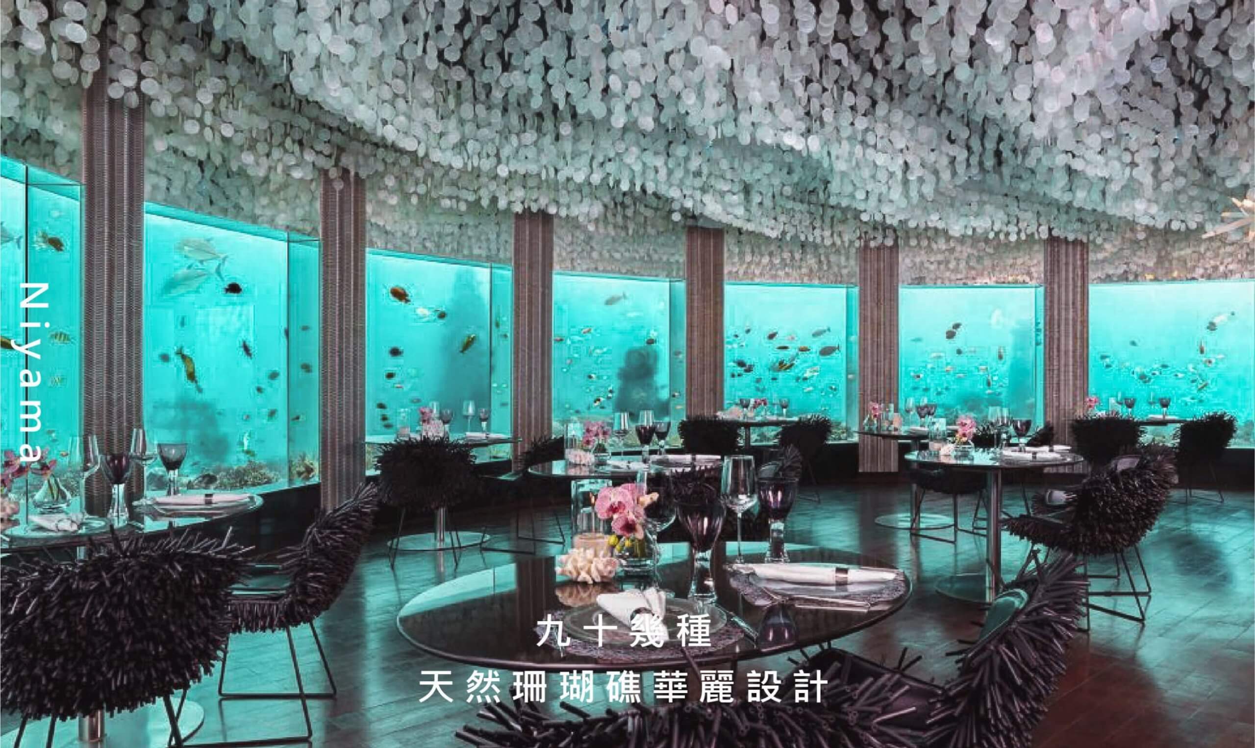 馬爾地夫水下餐廳推薦_Niyama 尼雅瑪度假村A (1)