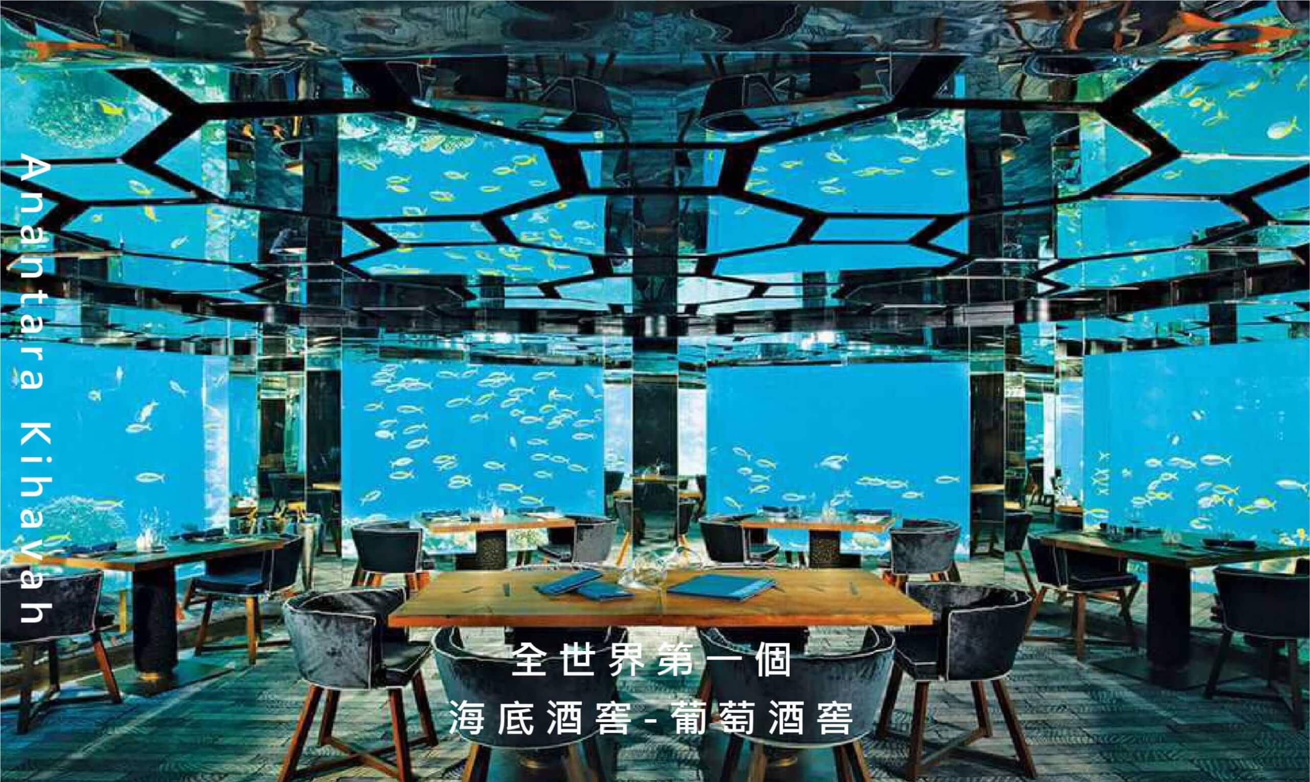 馬爾地夫水下餐廳推薦_安納塔拉度假村A (1)
