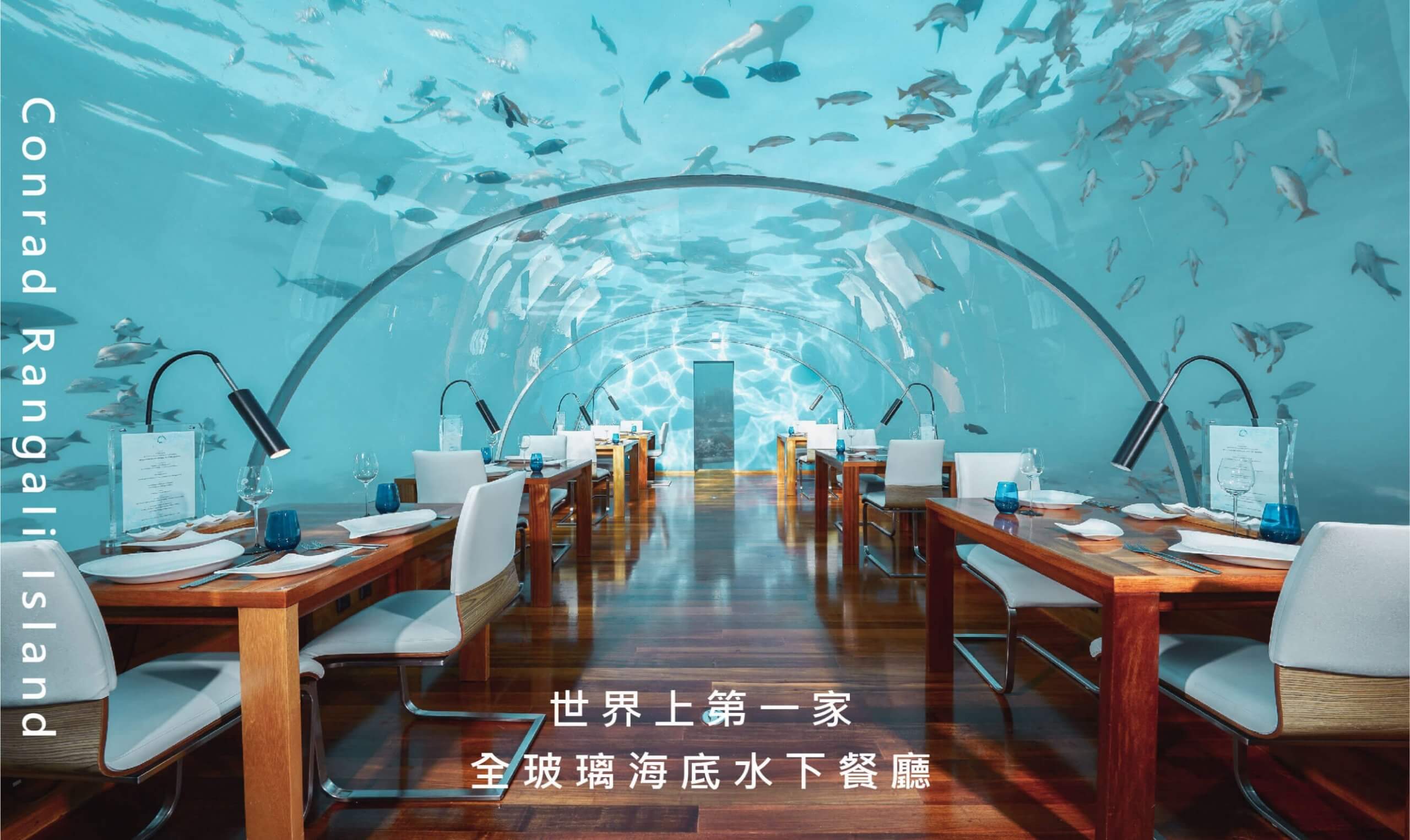 馬爾地夫水下餐廳推薦_康萊德度假村A (1)