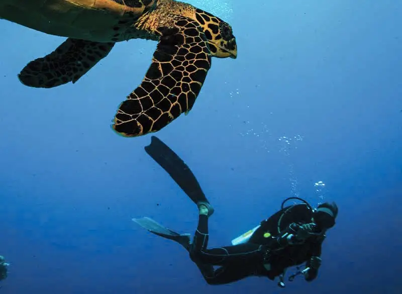 馬爾地夫旅遊_奧靜渡假村_Sangili