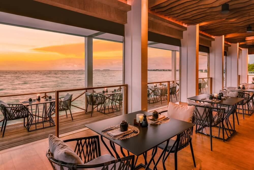 Amilla Feeling Koi - Clara Travel