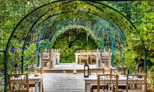 馬爾地夫旅遊_Soneva-Jani-So-local