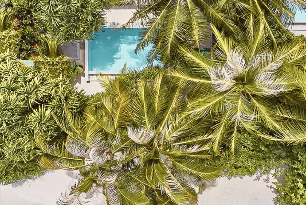 馬爾地夫渡假村推薦_費諾魯 Finolhu1 20 (5)