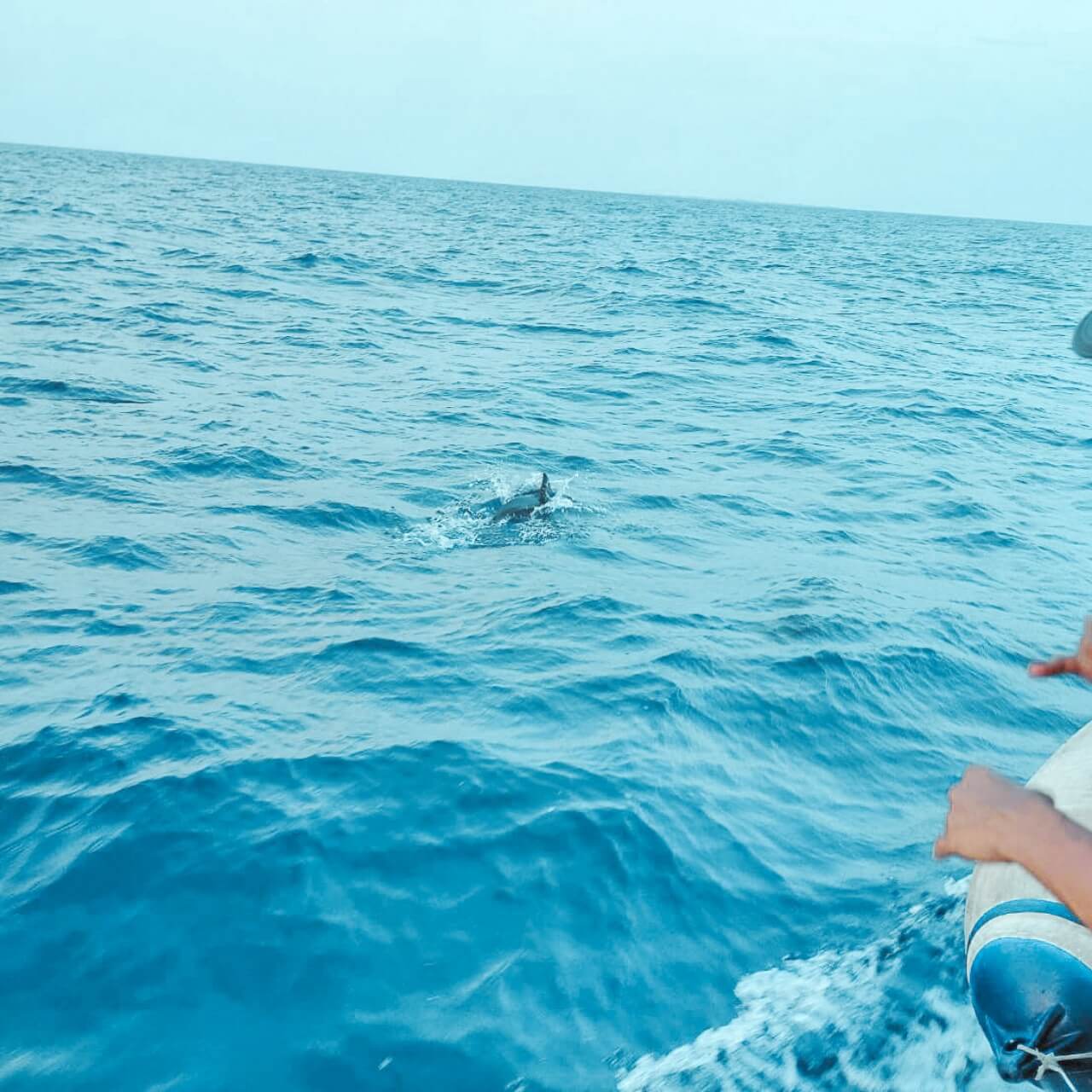 馬爾地Lily渡假村推薦_克拉拉旅遊評論14 (19)