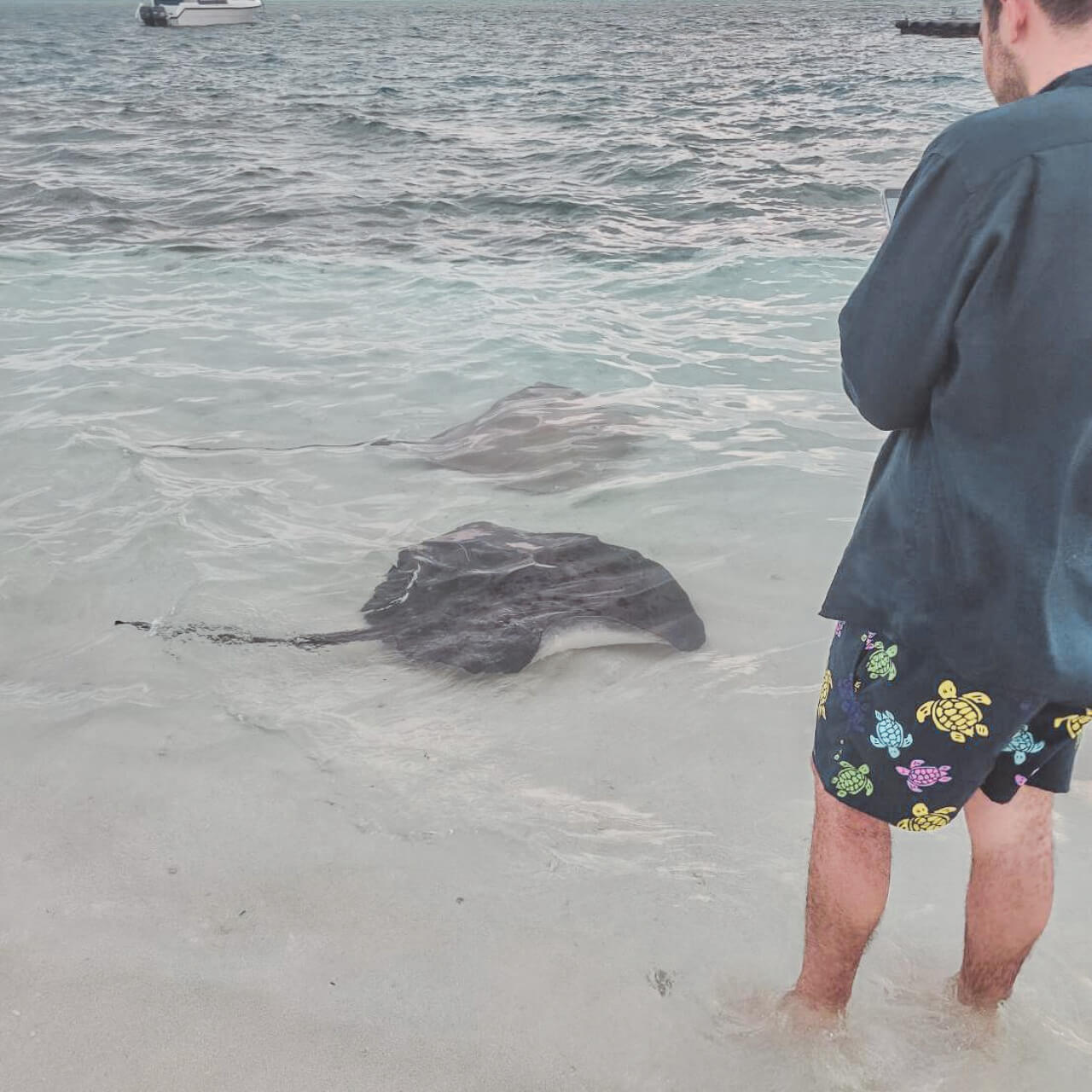 馬爾地Lily渡假村推薦_克拉拉旅遊評論14 (7)