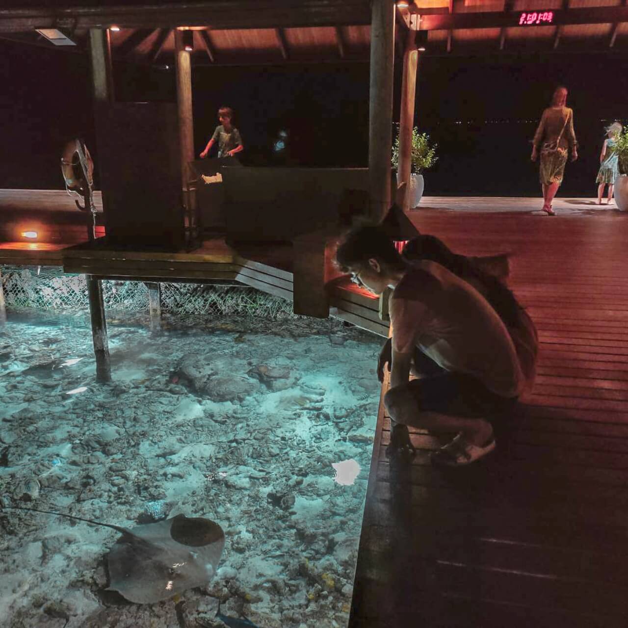 馬爾地夫客人推薦_克拉拉旅遊評價1 (26)