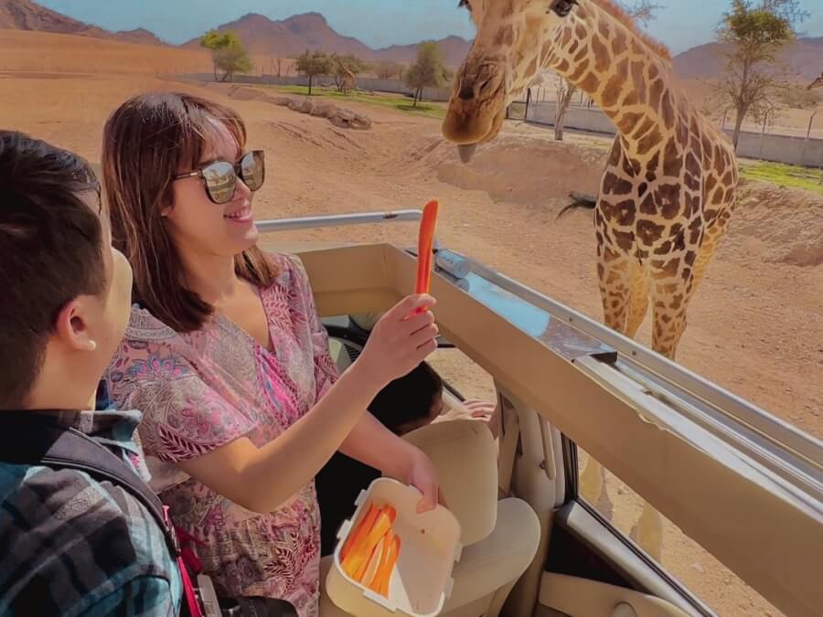 杜拜旅遊推薦_克拉拉旅遊4