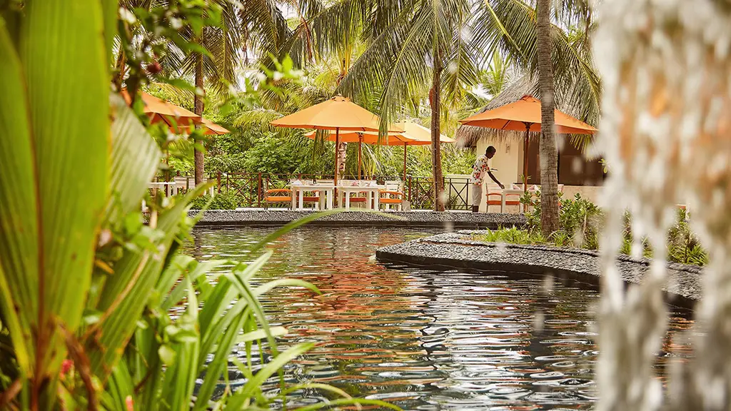 克拉拉旅遊_Fluid-Bar流體酒吧