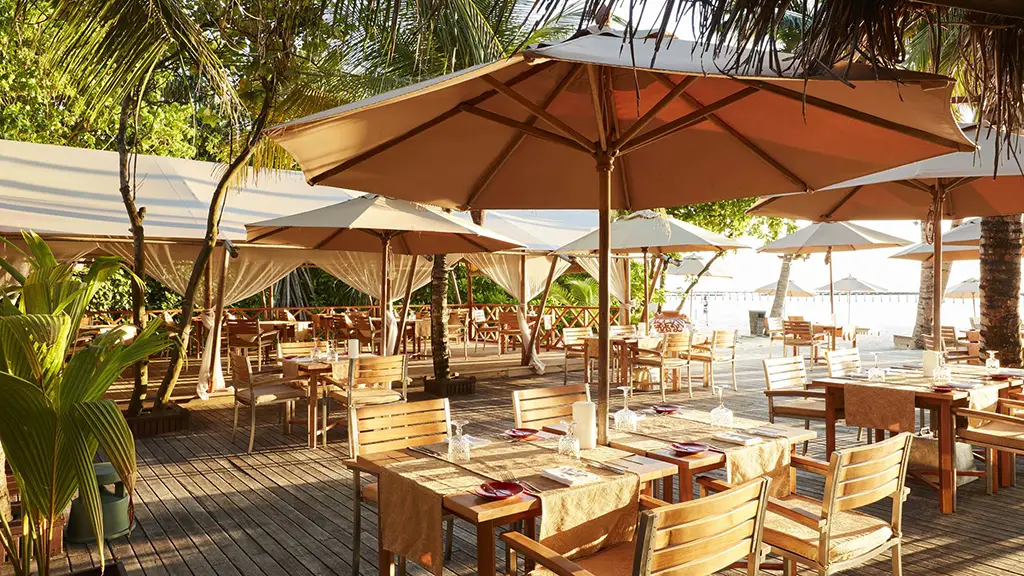 克拉拉旅遊_Taste-of-India印度餐廳