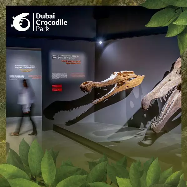 杜拜景點_鱷魚公園_鱷魚博物館