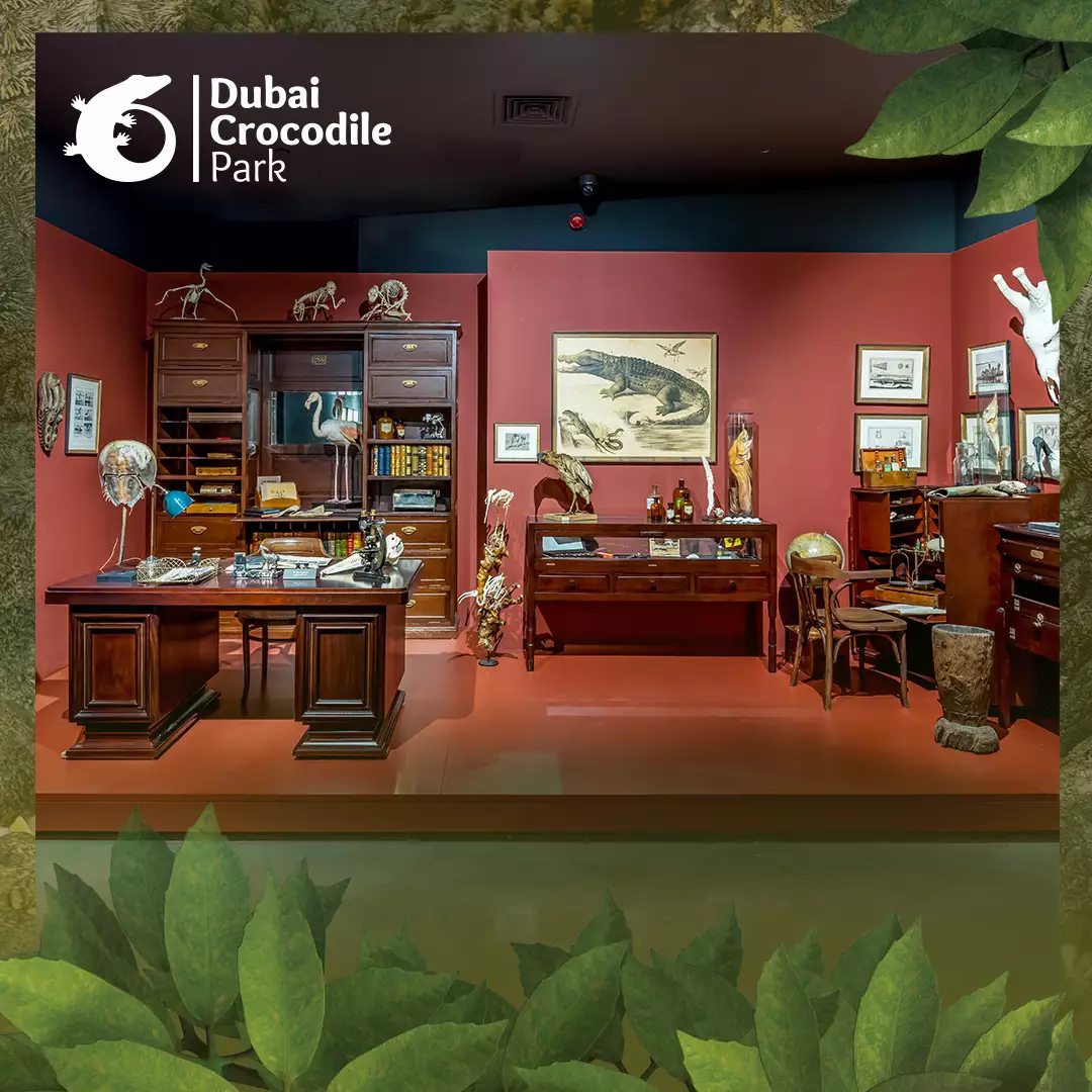 杜拜景點_鱷魚公園
