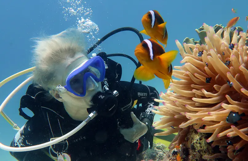 馬爾地夫假日季節酒店season-holiday-Diving