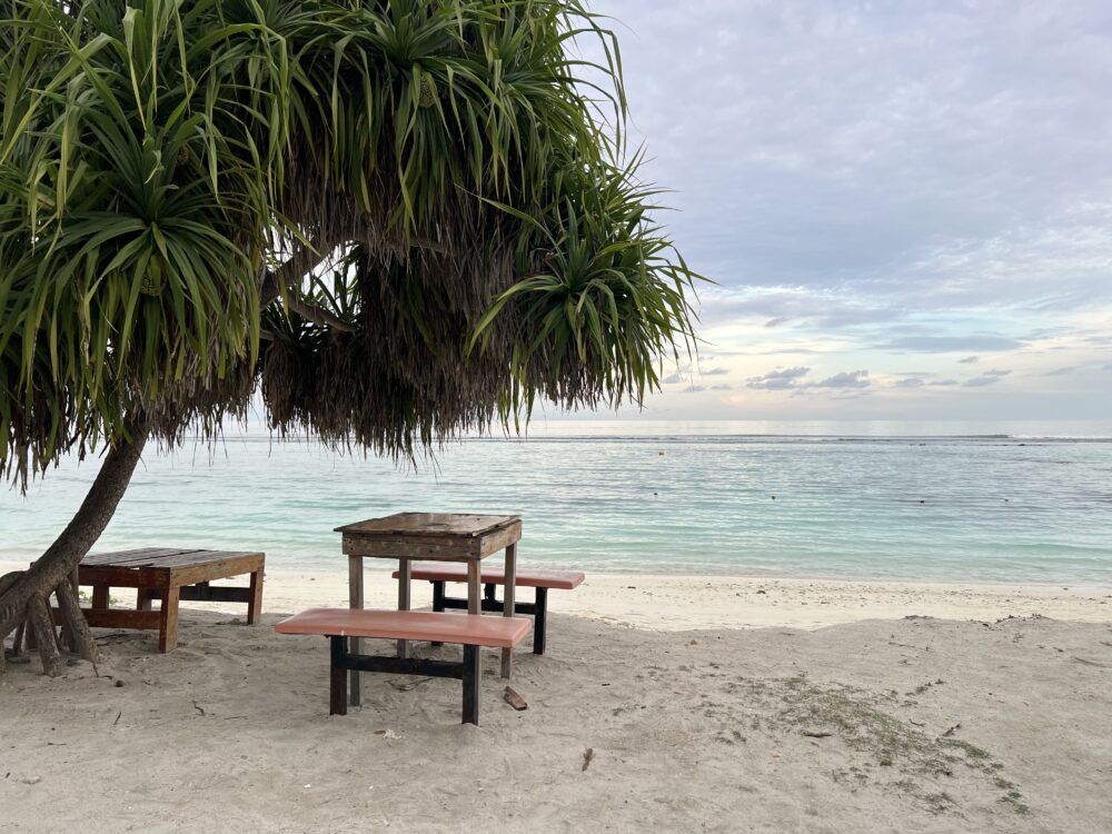 ⽩豎琴海灘旅店White Harp Beach hotel (5)