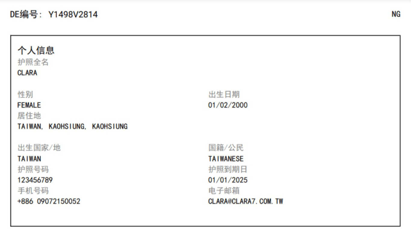 新加坡入境電子 (3)