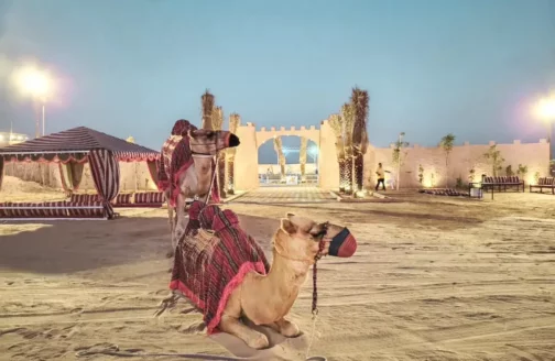 杜拜7日遊旅行團行程