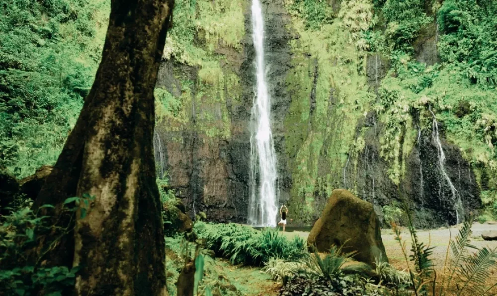 瀑布與自然美景