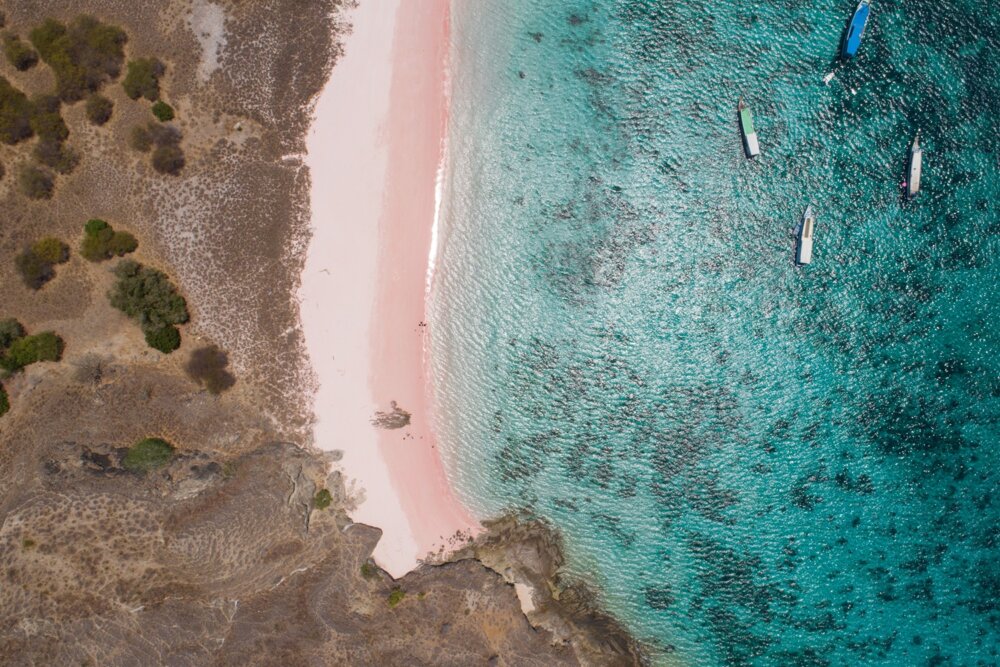 粉紅科摩多雙島5日