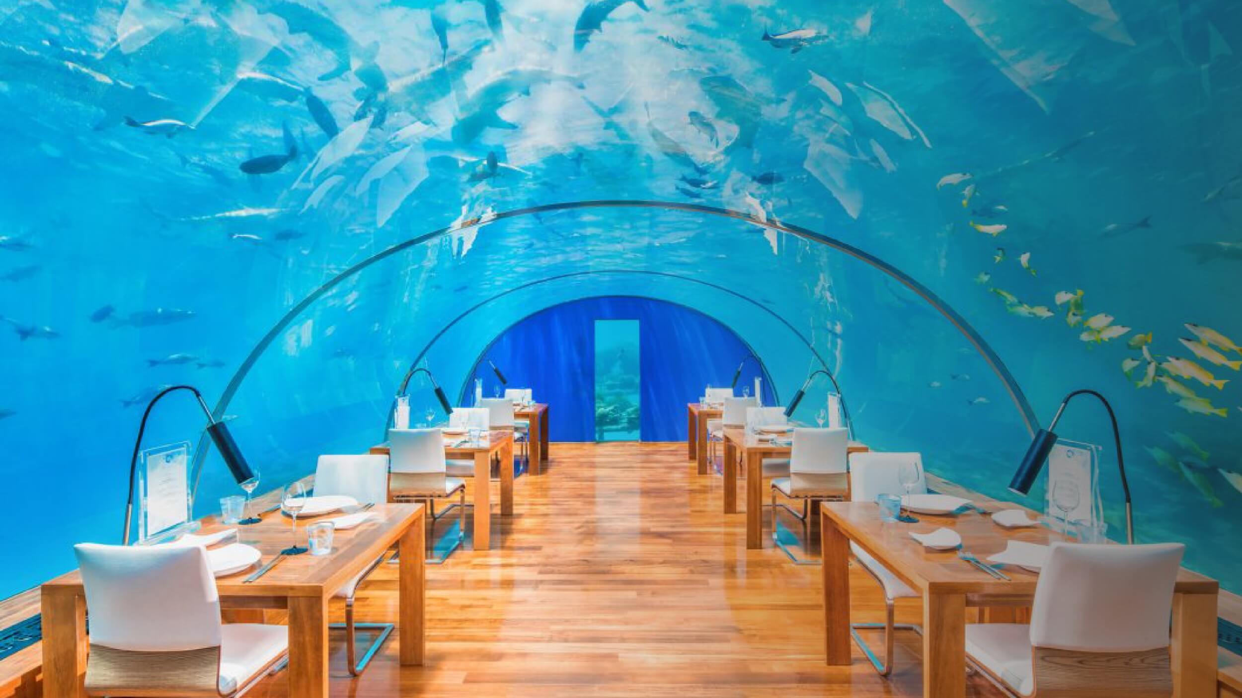 馬爾地夫康萊德度假村