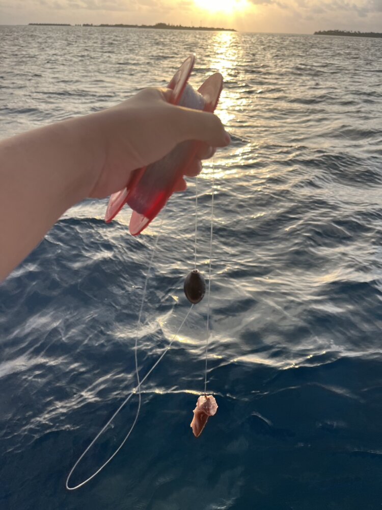 line_oa_chat_250910_184136